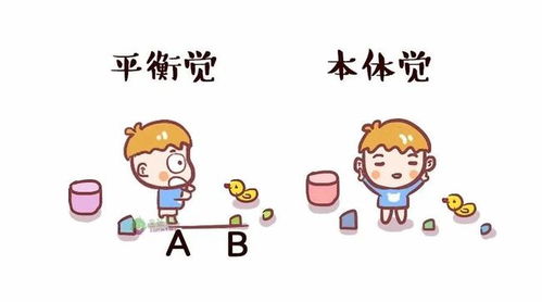 居家感統訓練 用科學游戲點亮孩子成長力